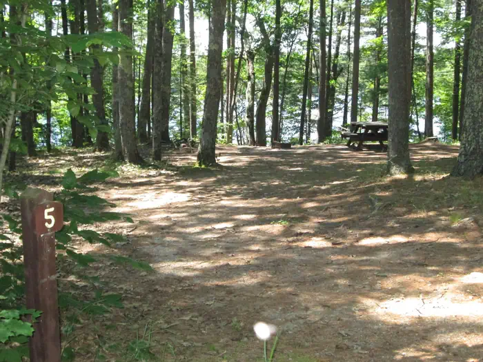 Little Bass Lake Campsites