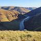 This photo depicts the John Day River from high up on a nearby hillside with bighorn sheep in the foreground.