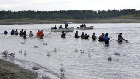 Kasilof Family Campground Alaska