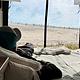 LunaSea Van-AC-Heater-Solar-Dog Friendly-Off Grid