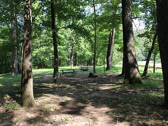 Camp sites marked by picnic tables sit under a shaded forest.