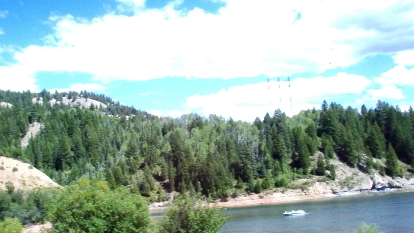 Ruedi Marina Campground