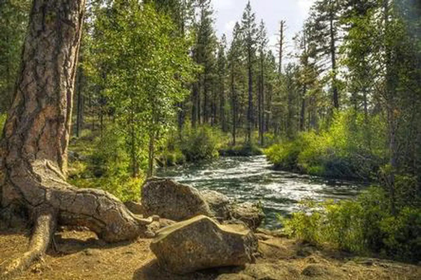 Lower Canyon Creek Campground