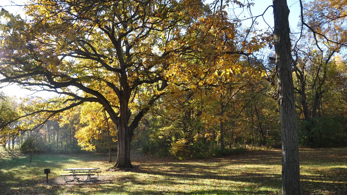 Walnut Ridge Recreation Area