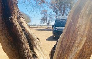RAMBO Camper Van: Sleeps 5 (Seatbelts for 4)