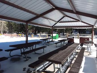 Black Bear Group Campground: shaded picnic area