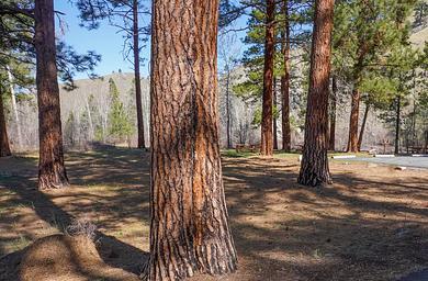 Spring Gulch