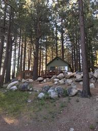 Cabin among trees: elevated cabin set on rocky ground with surrounding pines — useful to show cabin variety and wooded setting (from Contact page gallery).