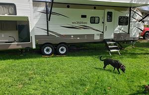 2019 Forest river Wildwood                   (Deliver Only)