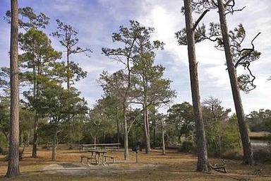 CEDAR POINT CAMPGROUND