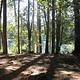 FISH LAKE CAMPGROUND