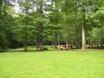 Mcnabb Creek Group