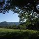 Mountains stand in the background under green branches