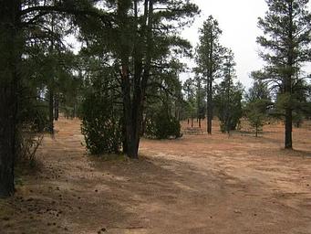 Elks Group Campground