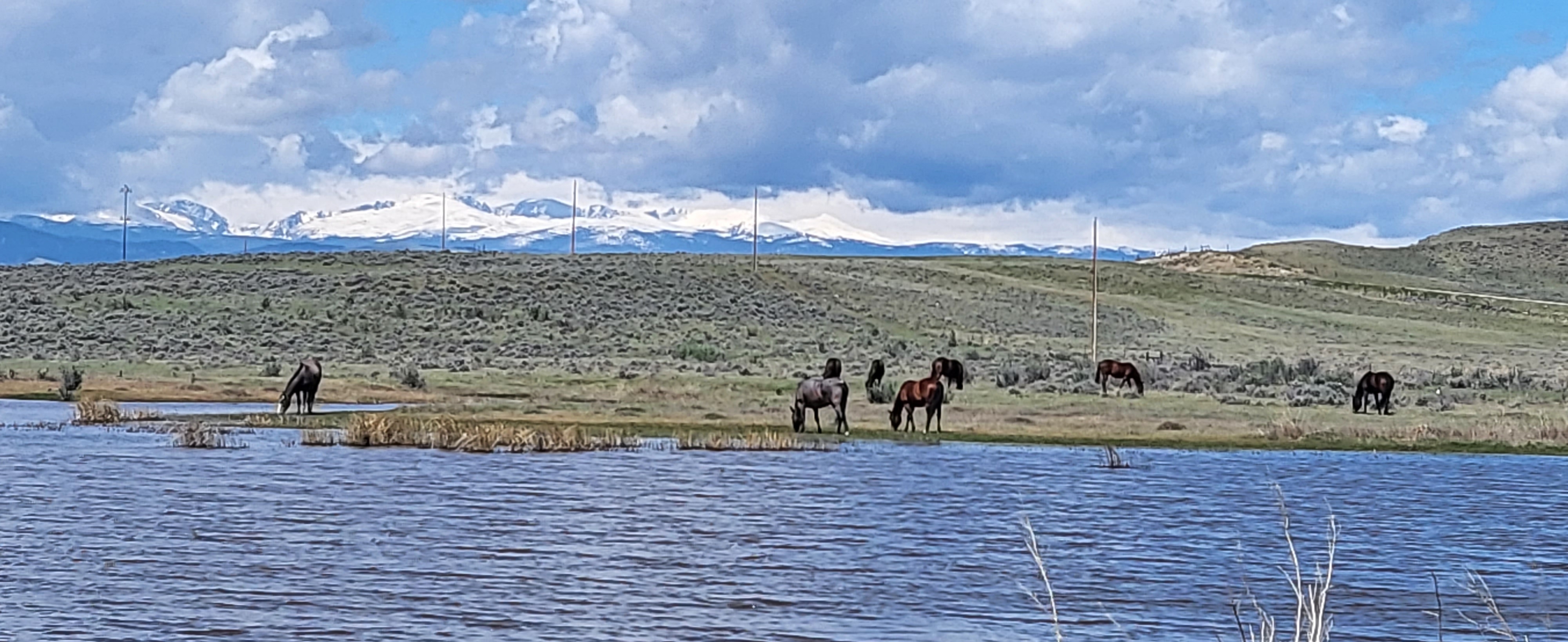 Big Horn View RV Campground