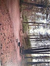 Sideways view of Campsite #14
