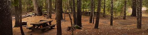 Peterson Prairie Campground