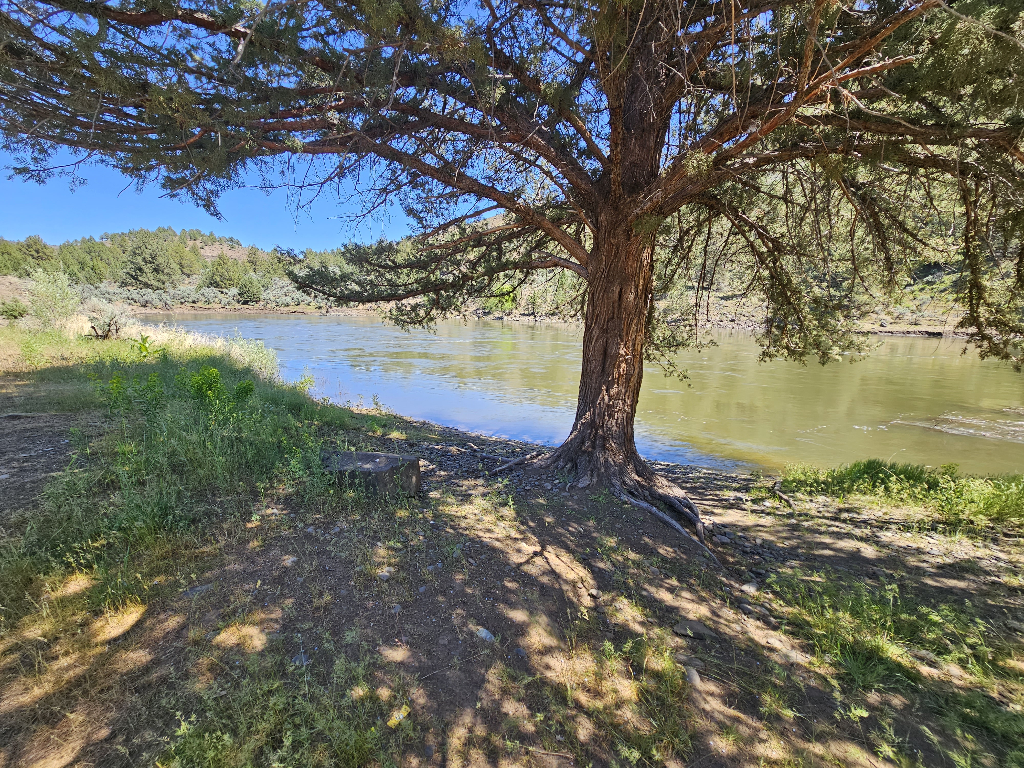 Big Bend Campground (John Day River)