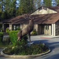 Nevada City Elks Lodge #518
