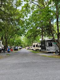 Long, centered lane with RV sites on both sides under trees — clear depiction of typical RV row and spacing (sourced from the site's FAQ/gallery).