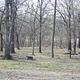 WASHINGTON COVE - Primitive Tent Campsites