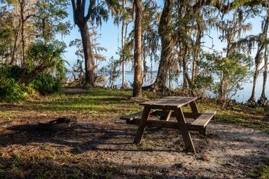 JP Hall Bayard Point Conservation Area Davis Landing Site SJRWMD