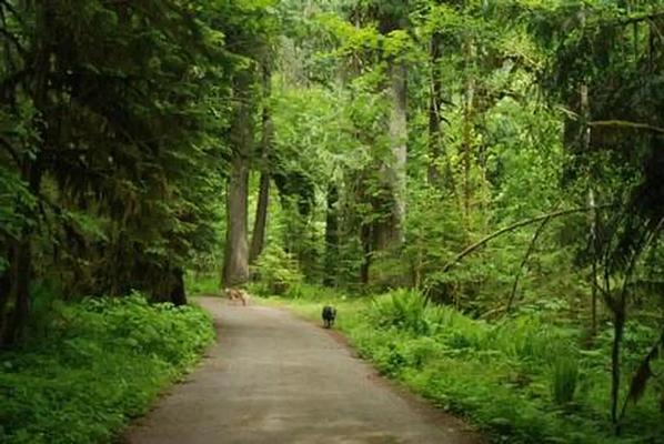 A001, Loop: AREA NORTH FORK BEAVER GROUP