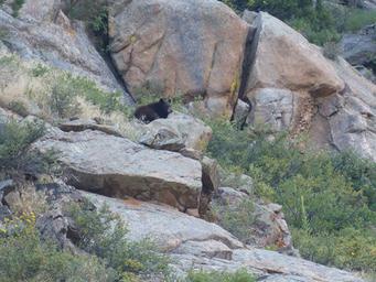 CanyonSide Campground