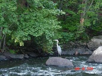 WESTVILLE RECREATION AREA