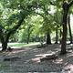 Central Group Campground showing picnic table, trees, grass and open space.