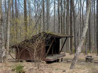 Side view of 3-sided wooden Adirondack shelter surrounded by trees in early spring.