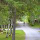 Campspot slideshow image 3