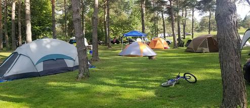tent sites at pine creek campground