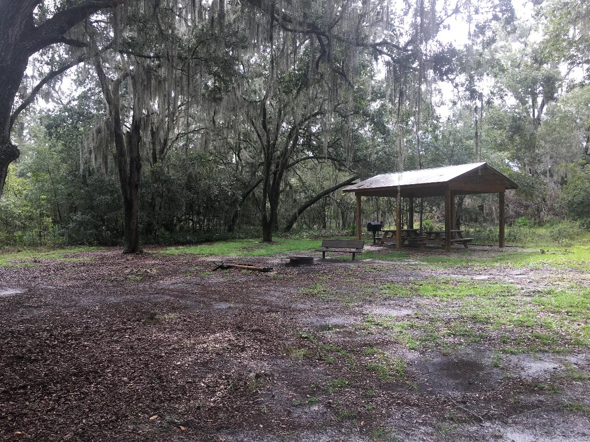 Longleaf Flatwoods Reserve SJRWMD