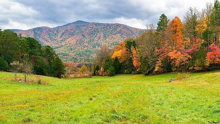 Cades Cove Group