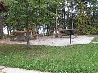 Picture of picnic tables and grills.