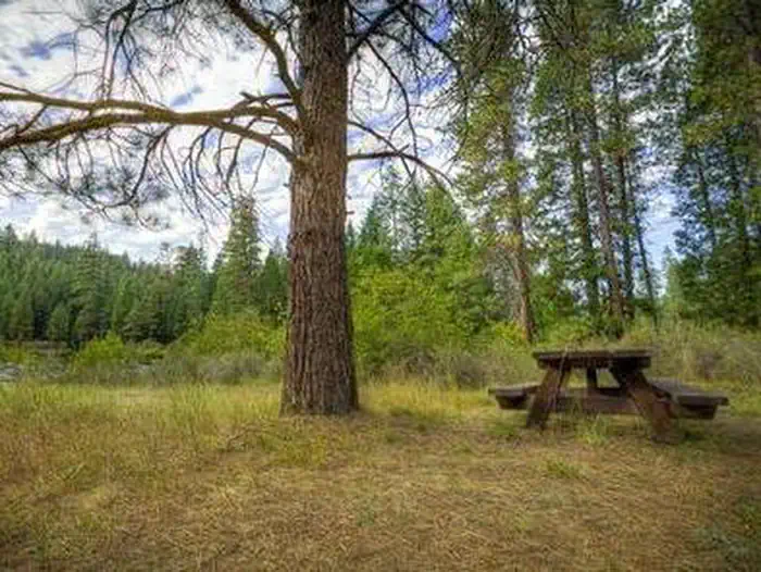 Allen Springs Campground