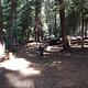 UPPER BILLY CREEK Campsites