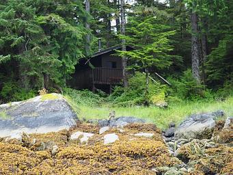Frosty Bay Cabin, rocks in the foreground with forest and trees surrounding a brown cabin