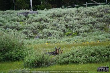 Meeks Cabin Campground