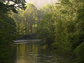 West Fork of the Chattooga Wild and Scenic River