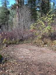 Open dirt area surrounded by brush