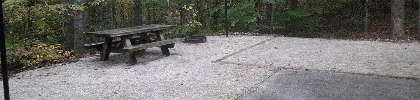 Zilpo - Daniel Boone Nat. For.