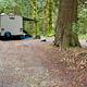 Camping with a VIBE - Kid & Pet Friendly