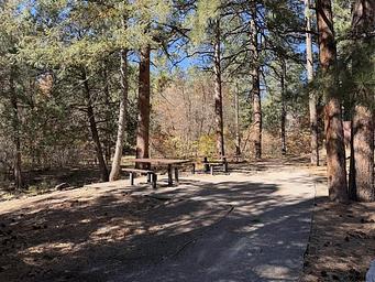 this is a picture of picnic tables at Doc Long