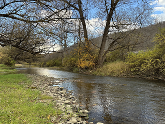 The journey of acquiring our Campground