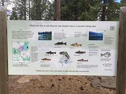 Juanita Lake Group Campsite