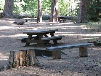 Bear Springs Campground