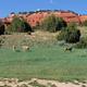 Campspot slideshow image 2