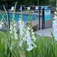 Four Seasons of Enjoyment - Summer